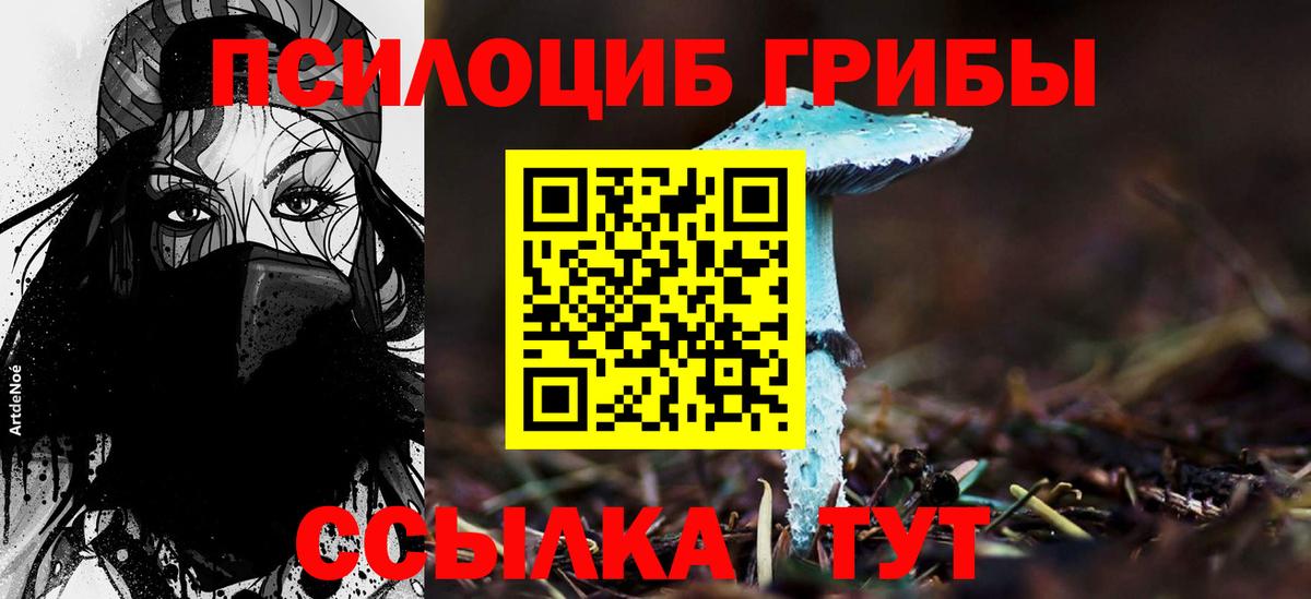 Галлюциногенные грибы мицелий  Псилоцибиновые грибы мицелий  Вход с VPN  Новоуральск 